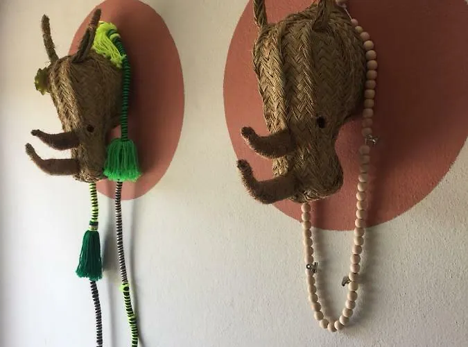 Machado * 알제주르